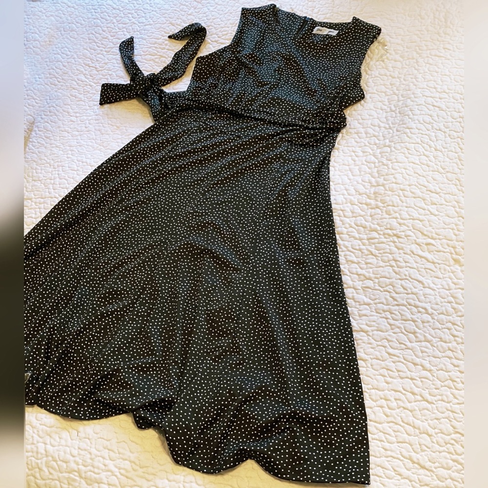 polkadot classic dress Shelby & Palmer